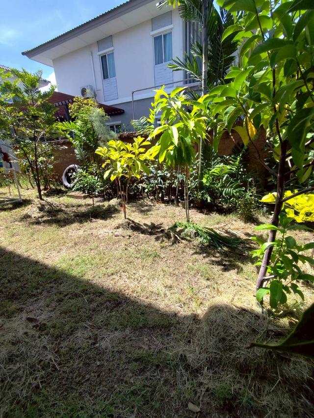 บ้านมิอสอง เดอะแพลนท์ อยุธยา 16