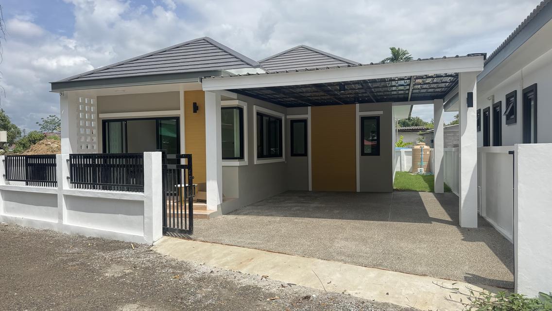 ขายบ้านเดี่ยว 3 นอน 2 นอน สันทราย 1