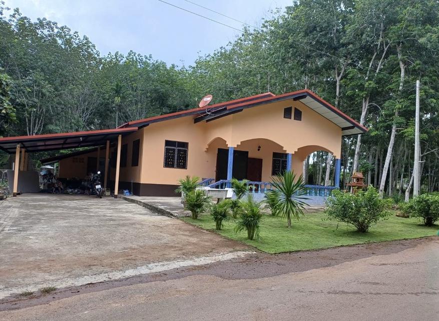 บ้านพร้อมที่ดินและสวนยาง 2