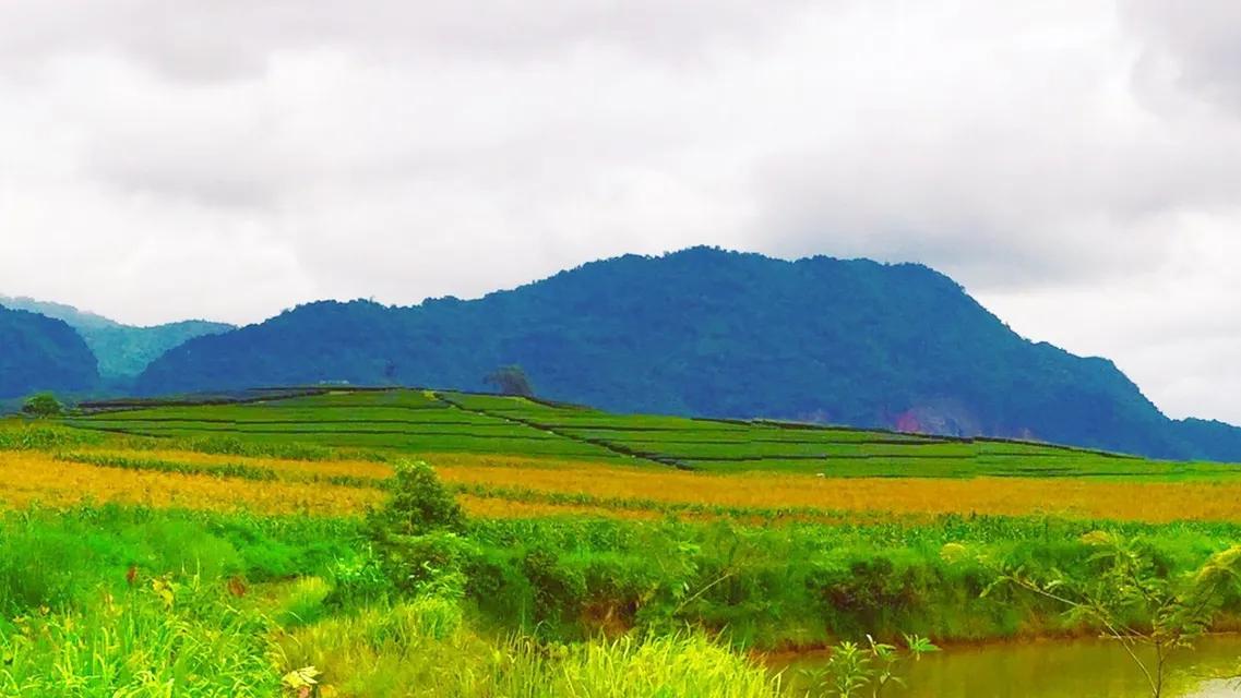 ที่ดินพรีเมี่ยม 14 ไร่ เชียงราย (สิงห์ปาร์ค) น้ำไม่ท่วม 4