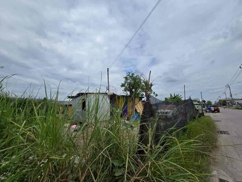 Vายที่ดินผังม่วง 2ไร่เศษ ติดถนน 2 ด้าน ซอย คุ้มเกล้า 50 ลาดกระบัง กรุงเทพมหานคร 9