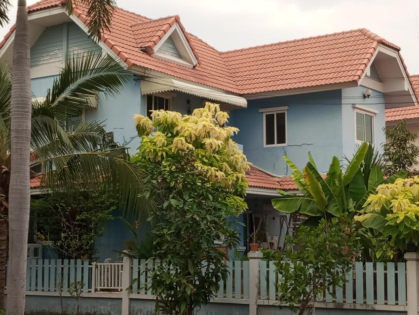 บ้านเดี่ยวหลังใหญ่  คนชอบต้นตอไม้ 1