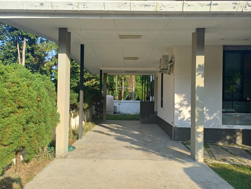 🏡 บ้านเดี่ยวชั้นเดียว พื้นที่กว้าง 85 ตร.ว.! ใกล้ รพ.นครพิงค์ & แม็คโครแม่ริม Spacious Single-Storey House for Rent - 85 sq.wah, Near Nakonping Hospi 7