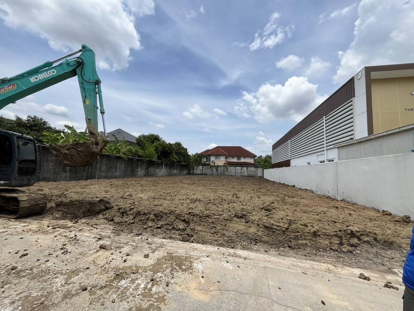 ที่ดินเปล่า 200 ตารางวาถมแล้ว 5