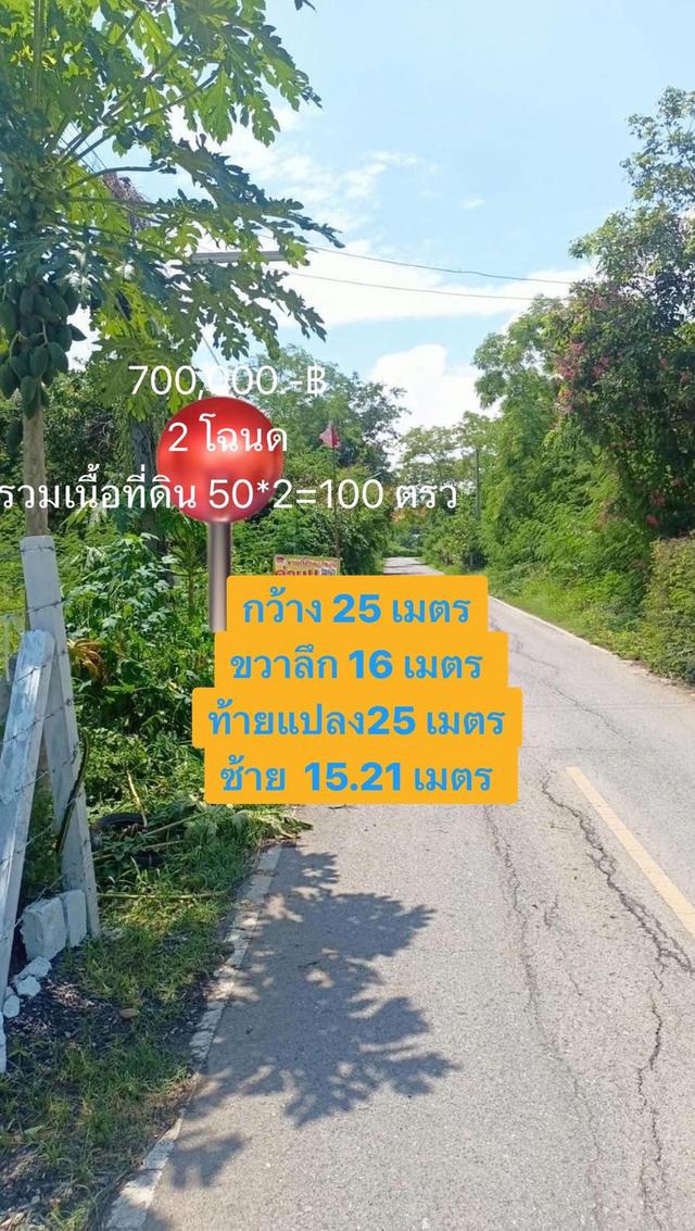 ขายที่ดินแปลงเล็กเสาไห้สระบุรี 50ตร.วา ราคา370,000 บาท ใกล้วัดป่าสักตำบลศาลารีไทยสระบุรี0934415691 1