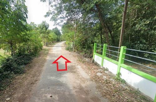 ที่ดินพร้อมสวนป่ายูคาลิปตัส 20-0-18 ไร่ สันป่าตอง นาเชือก มหาสารคาม 14