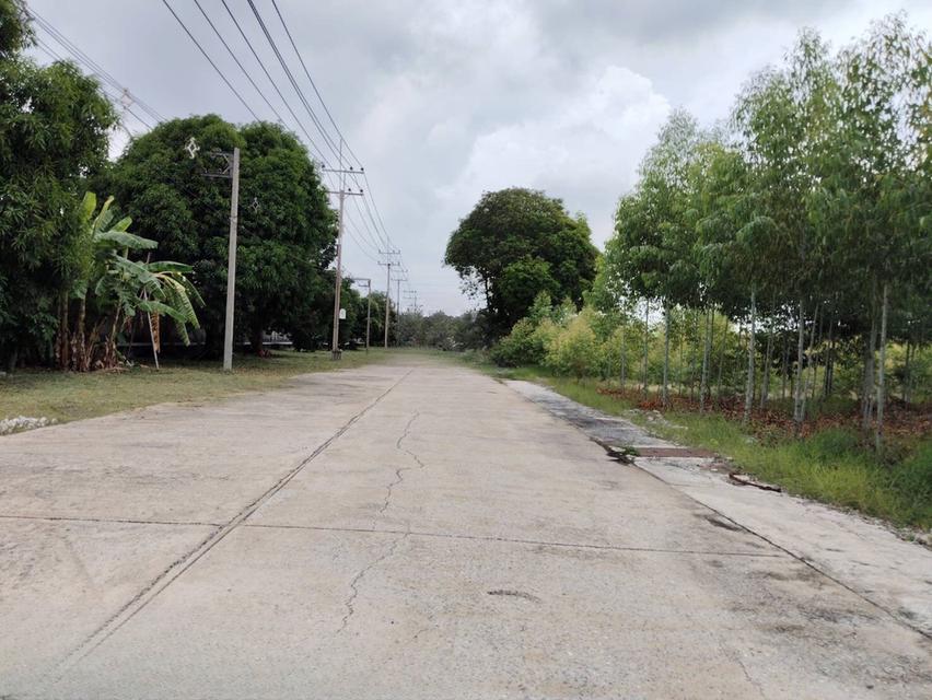 ขายที่ดินผังสีม่วง ถนนพหลโยธิน นวนคร พื้นที่ 110-3-35 ไร่ ต.คลองหนึ่ง อ.คลองหลวง จ.ปทุมธานี 4
