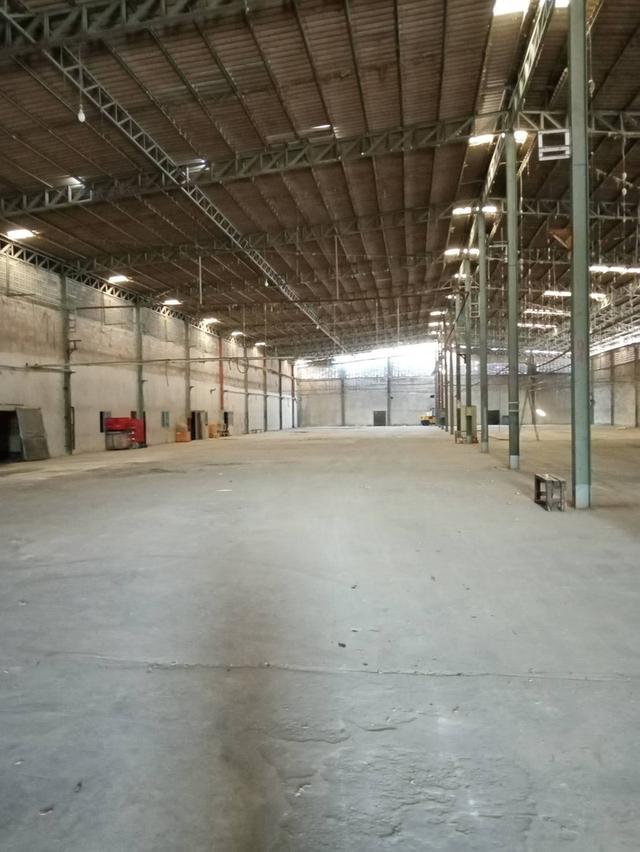 ขายด่วน โรงงาน 20 ไร่ อ.กระทุ่มแบน จ.สมุทรสาคร ราคาถูก ฮวงจุ้ยดี หันทิศดี 6