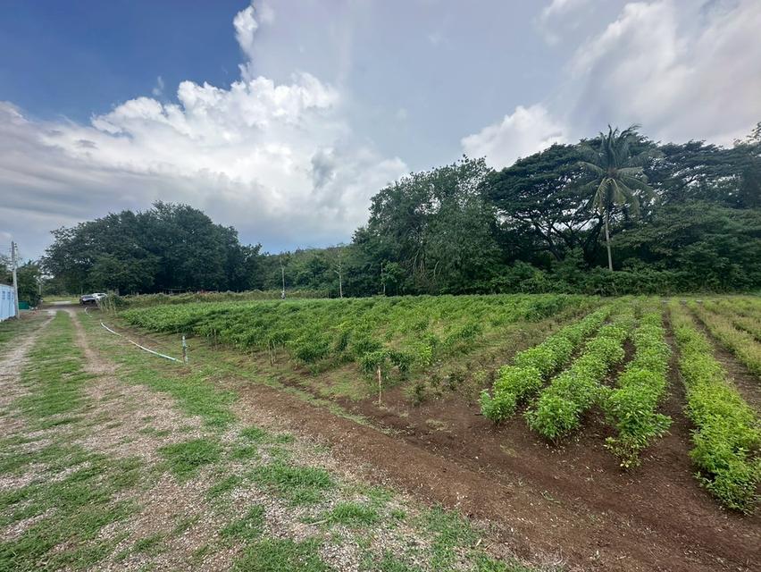 ที่ดินติดริมน้ำวิวเขาปากช่อง.( 3-3-12 ไร่.)( 5,500 บ./ตร.วา )  | ( น.ส.3ก ) หายาก ราคาพิเศษ!!  14