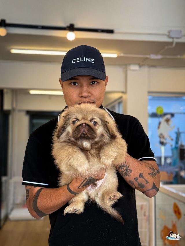 น้องปักกิ่ง 2