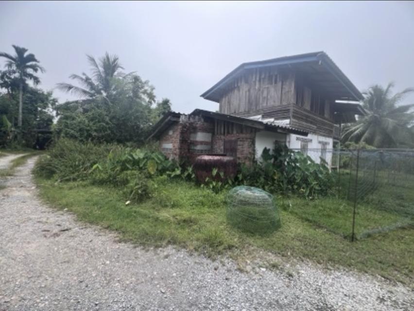 บ้านเดี่ยวพร้อมที่ดิน 7