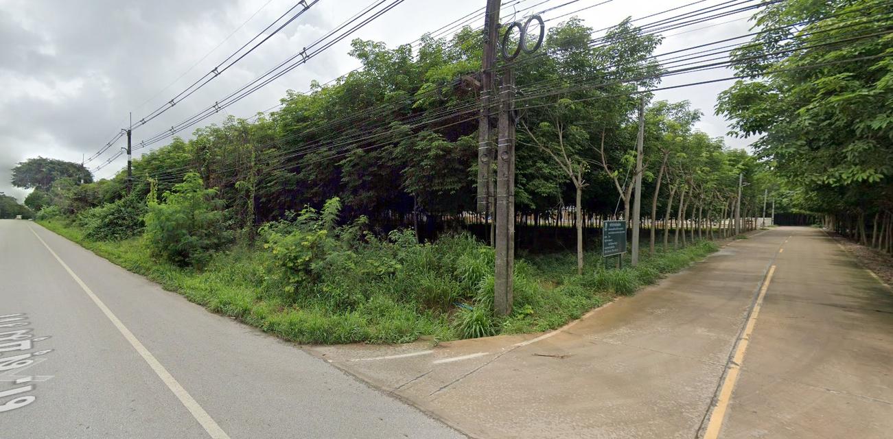 ที่ดินติดสุขุมวิทระยอง 3