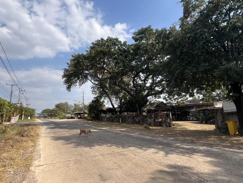 ที่ดิน1 ไร่ ขาย2,100,000ต่อลองราคาพูดคุยกันได้ค่ะ ที่ในตลาด ตรงขั้มเป็นปั้มน้ำมัน และข้างๆเป็นที่ฟอกไตทำเลดีค่ะ 2