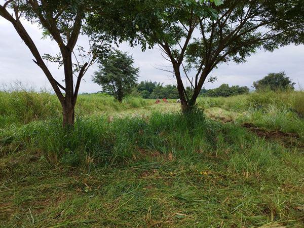 รูปหลัก ขายที่ดิน 2ไร่ อ.ไทรโยค จ.กาญจนบุรี สวยทรงสีเหลี่ยมผืนผ้า ใกล้แม่น้ำแควน้อย ใกล้แหล่งท่องเที่ยว อยู่บ้านท่ามะเดื่อ