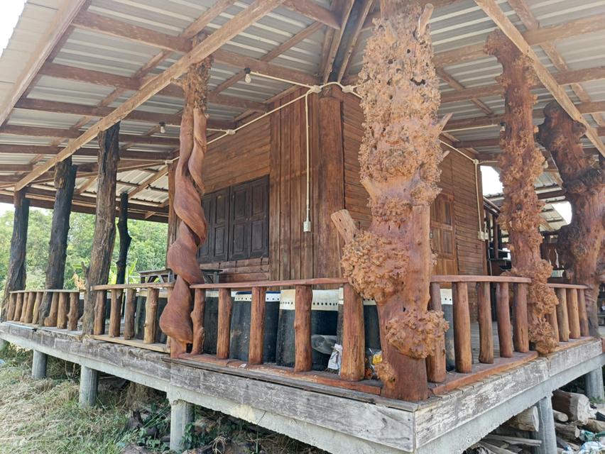 ขายบ้านพร้อมที่ดินเนื้อที่ 3 ไร่ (โฉนดที่ดิน ครุฑแดง 2 โฉนด)