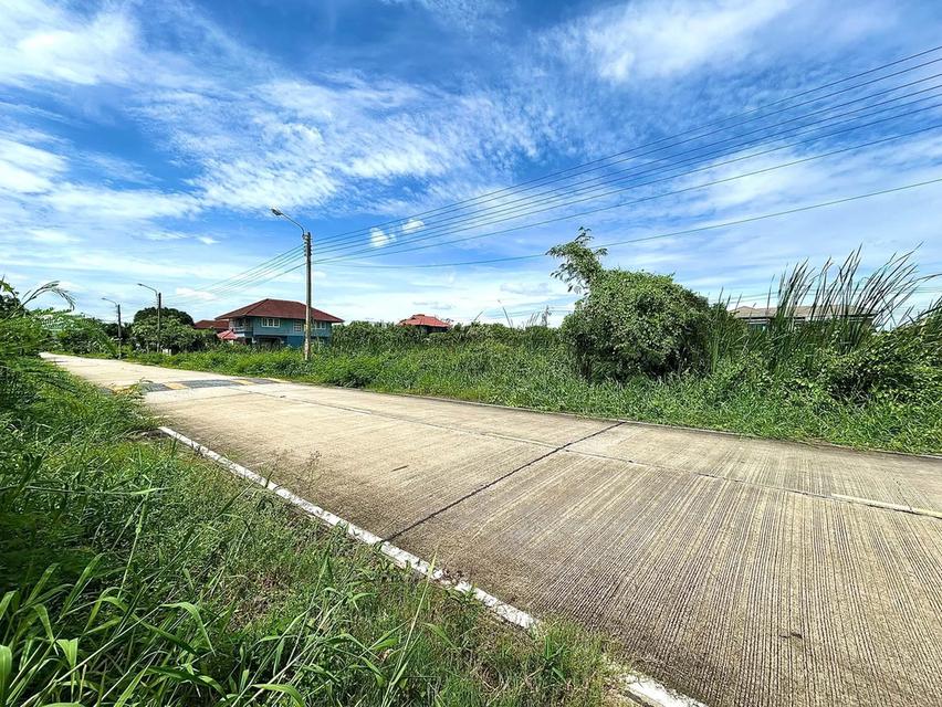 ขายด่วน!! ที่ดินเปล่าถมแล้ว 75 ตร.ว. (ซอยนุ่มประสงค์ 2) ใกล้ ม.มหิดลศาลายา โลตัสบางใหญ่ ทางด่วนประจิมรัถยา ต.ศาลากลาง อ.บางกรวย จ.นนทบุรี 11