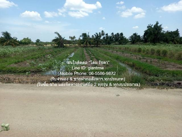 ขายที่ดินทางการเกษตร (ต้นดอกรัก) อ.นครชัยศรี นครปฐม 4-1-67 ไร่ ราคา 8,835,000 บาท 4