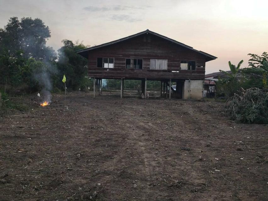 ขายที่ดินพร้อมตัวบ้านเก่า 5