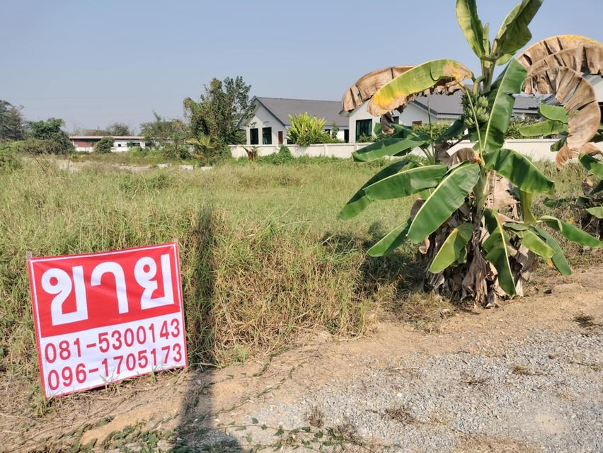 ขายที่ดิน120ตรว.จังหวัดแพร่