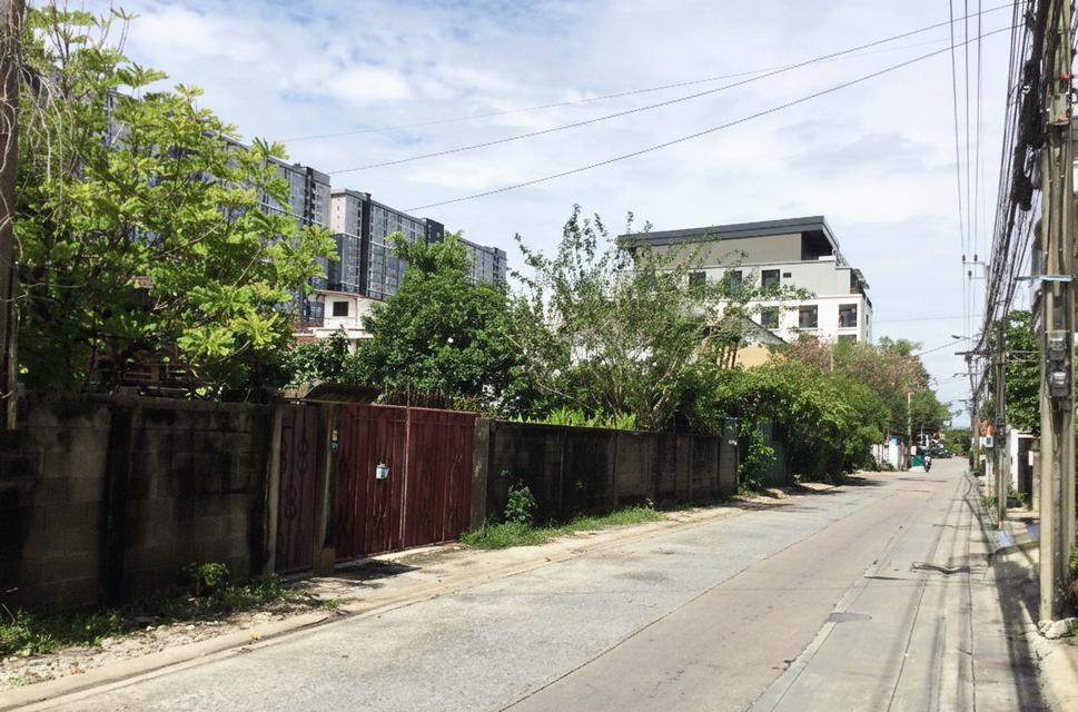 ขายที่ดินบางซื่อ ในเมืองกรุงเทพ 231 ตร.วา พร้อมบ้าน 2 ชั้นมีสไตล์ ใกล้ MRT ติดตลาด บางซ่อน (กรุงเทพ-นนท์ 27) 8