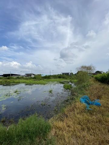 ขายที่ดินเปล่า ทำเลดี เจ้าของขายเอง ตำบลคลองด่าน อำเภอบางบ่อ สมุทรปราการ 17