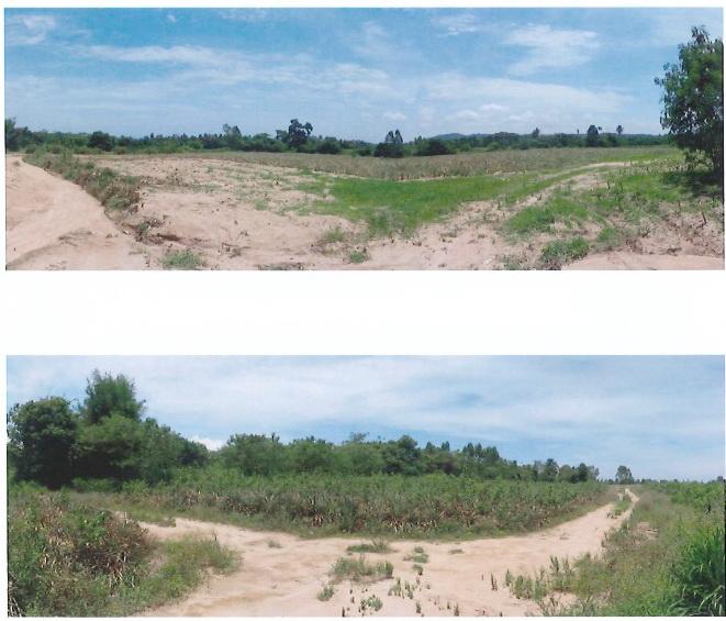 ขายที่ดินเปล่า แปลงใหญ่  ทำเลศักยภาพ อำเภอบางละมุง จังหวัดชลบุรี 6