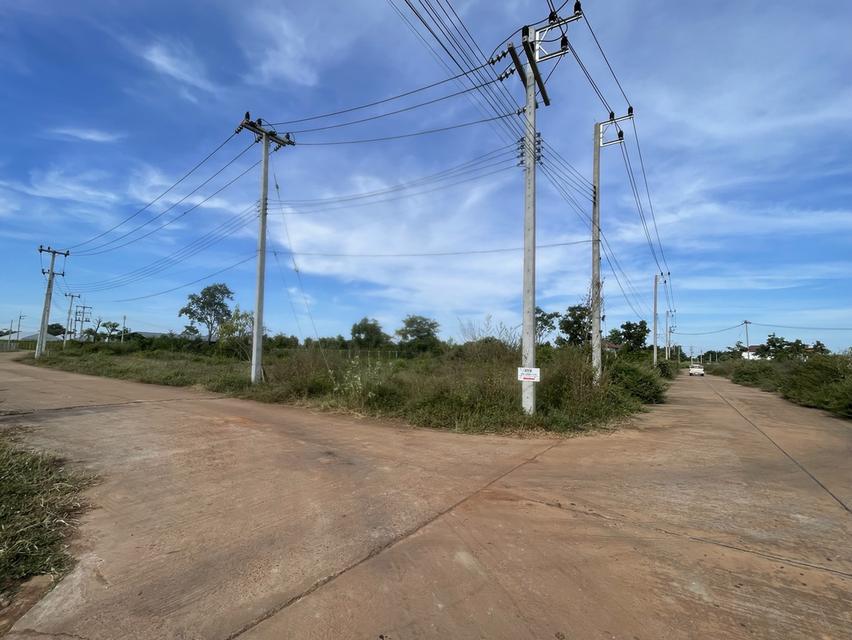 ที่ดินใกล้ ม.เกษตร สกลนคร แบ่งขาย ใกล้ ม. / 7-11 / หอพัก ที่ดินสูง ถนนคอนกรีต ไฟฟ้า–ประปาพร้อม  • แปลงที่ 1 : 1 งาน → 480,000 บาท • แปลงที่ 2 : 1 งาน 1