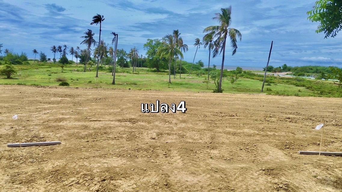 ที่ดิน บ่อนอก ประจวบคีรีขันธ์ติดทะเล 50 ตรวา ผ่อนได้  16