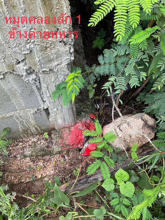 ขายที่ดิน 135 ตารางวา อยู่ปากทางเข้าเขาคันทอง อยู่หลังโลตัส เอ็กซ์เพรส คลองสัก 3