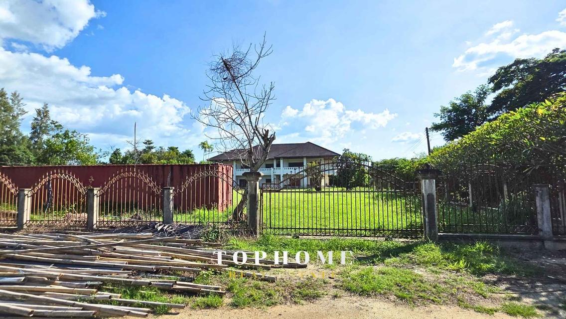 ขายด่วน‼️ บ้านเดี่ยว 2 ชั้น พร้อมที่ดินผืนใหญ่ ทำเลดีในเชียงใหม่ 🔥🏡 5
