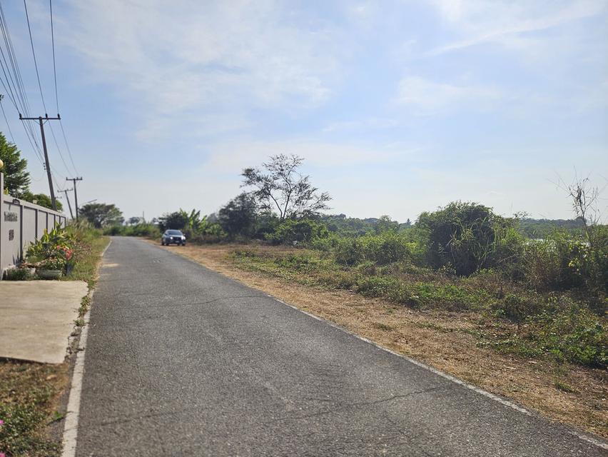 ขายที่ดินแปลงใหญ่พร้อมบ่อน้ำ 53 ไร่ ติดถนน (ใกล้ถนน 3064) ต.โคกพุทรา อ.โพธิ์ทอง จ.อ่างทอง โฉนดพร้อมโอนทันที เหมาะสำหรับ ทำฟาร์ม เกษตรกรรม 8