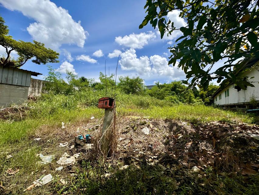 ขายที่ดินซอยลาดกระบัง3 ขนาด 371 ตร.วา (ถนนประชาทร) วิวลำธาร (N.1380) 1