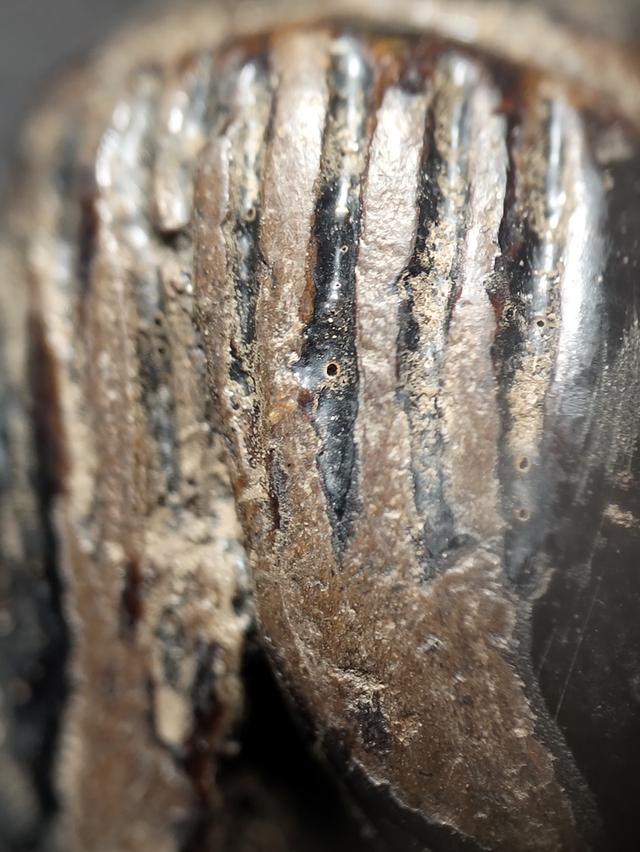 ขายพระเครื่องพระบูชา รูปที่ 4