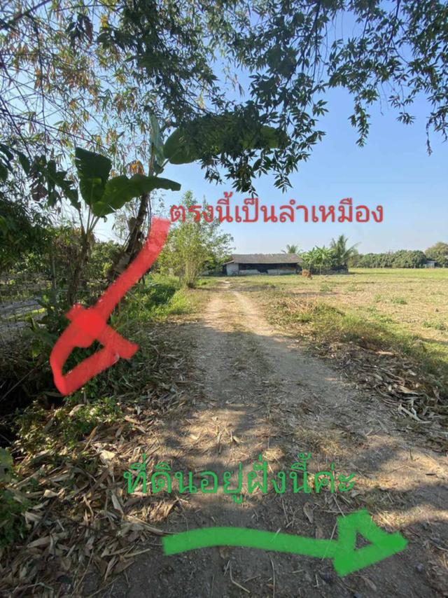 ที่ดินว่างเปล่า จังหวัดเชียงใหม่ 2