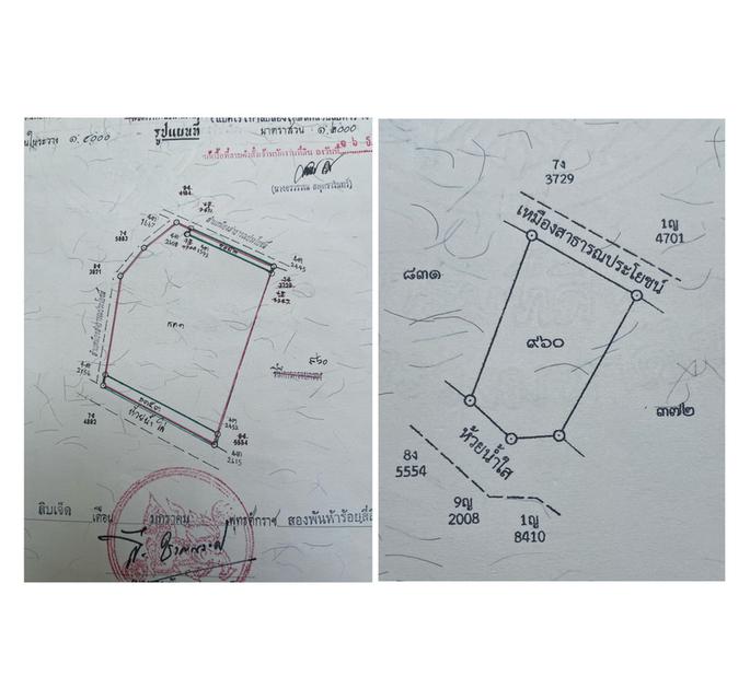 ที่ดินพรีเมี่ยม 14 ไร่ เชียงราย ขายเหมา (สิงห์ปาร์ค) น้ำไม่ท่วม 3