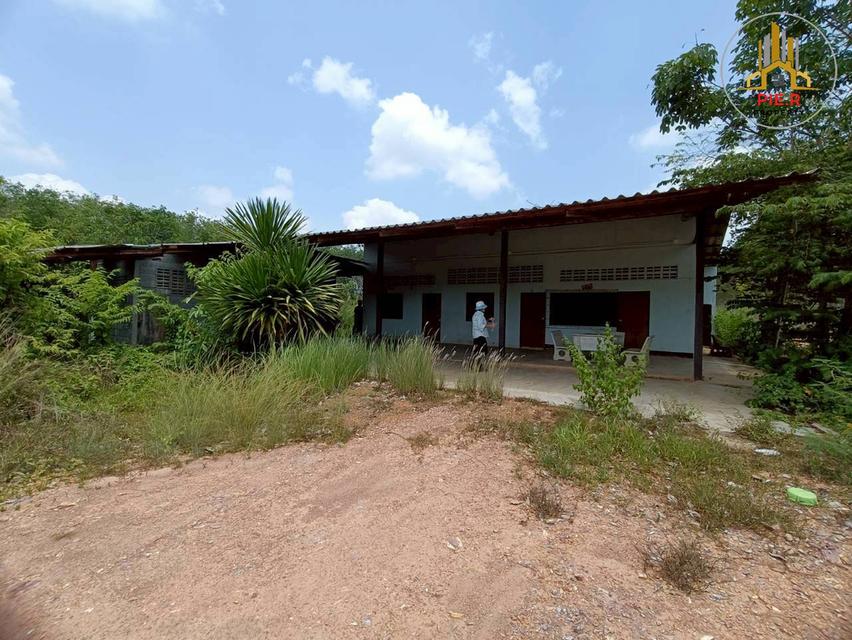 ลงทุนเพื่ออนาคต! ที่ดิน41-369ไร่ อ.เมืองระยอง l ใกล้ถ.สุขุมวิท(เดินทางเชื่อมต่อไปตัวเมืองระยองสะดวก) 6