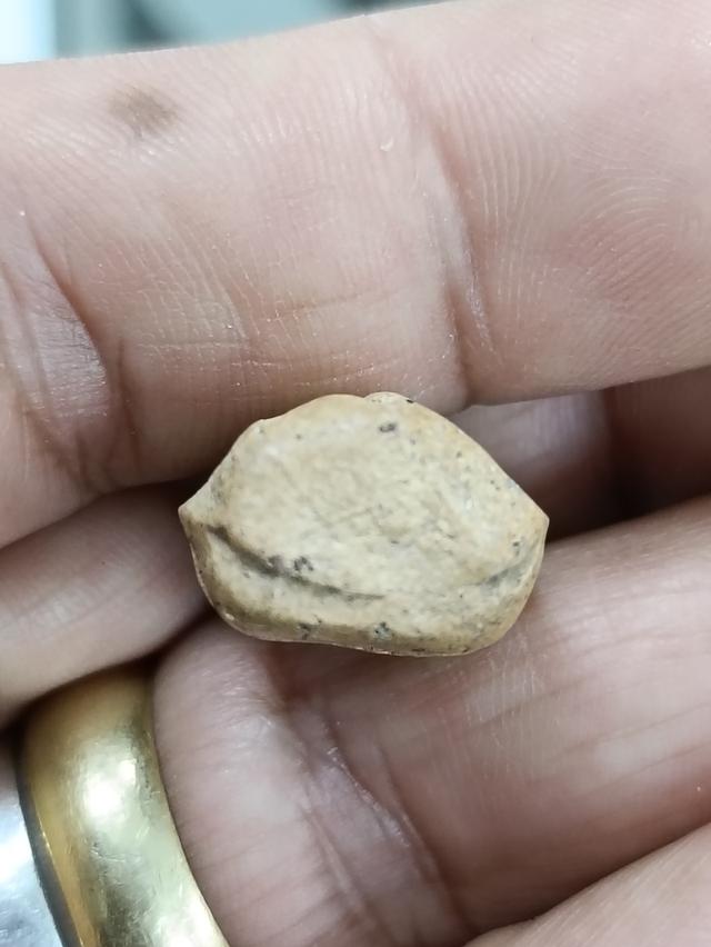 พระคงลำพูน นิยม จังหวัดลำพูน รูปที่ 3