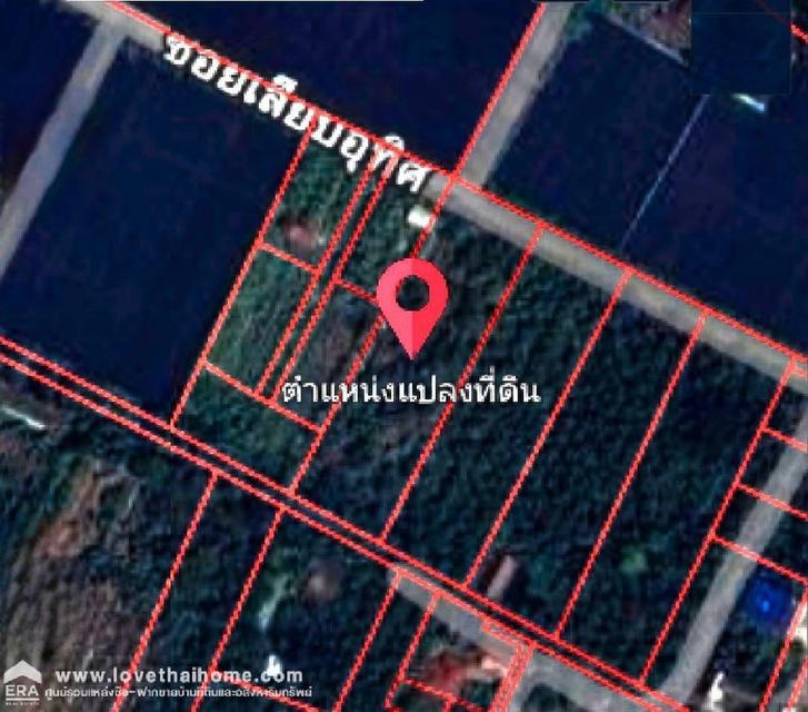 ขายที่ดิน 13