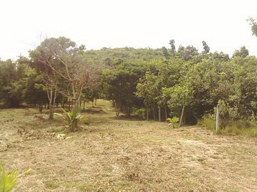 Land on the lower hill for sale with Chanote no sea view 1