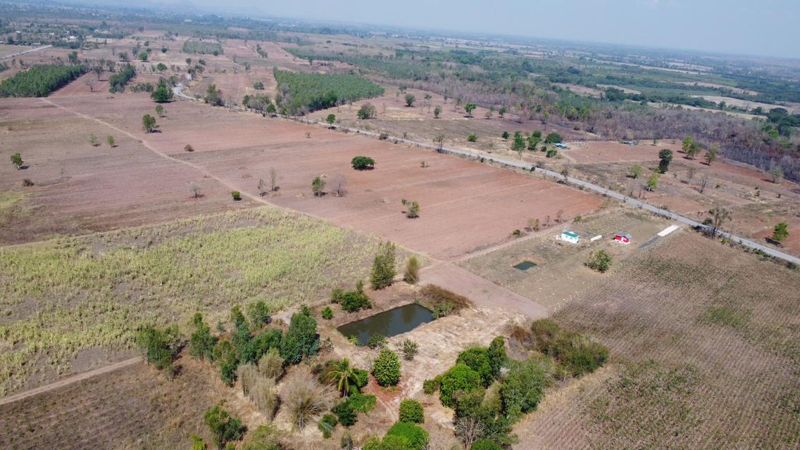 ที่ดิน ชนแดน เพชรบูรณ์ ขนาด 2 ไร่ 50 ตรวา 380,000 บาท  11