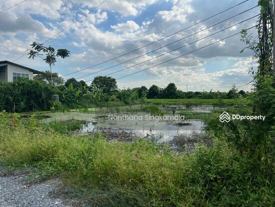 ขายที่ดินเปล่า  1 ไร่  1 งาน  ซอยวัดสุขใจ  นิมิตรใหม่