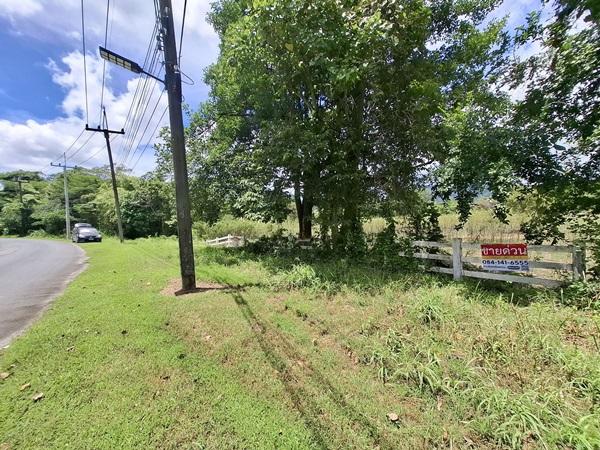 ขายที่ดินแปลงใหญ่สวยเนื้อที่ 11 ไร่ ต.สาริกา อ.เมืองนครนายก จ.นครนายก โทร.084-1416555 4