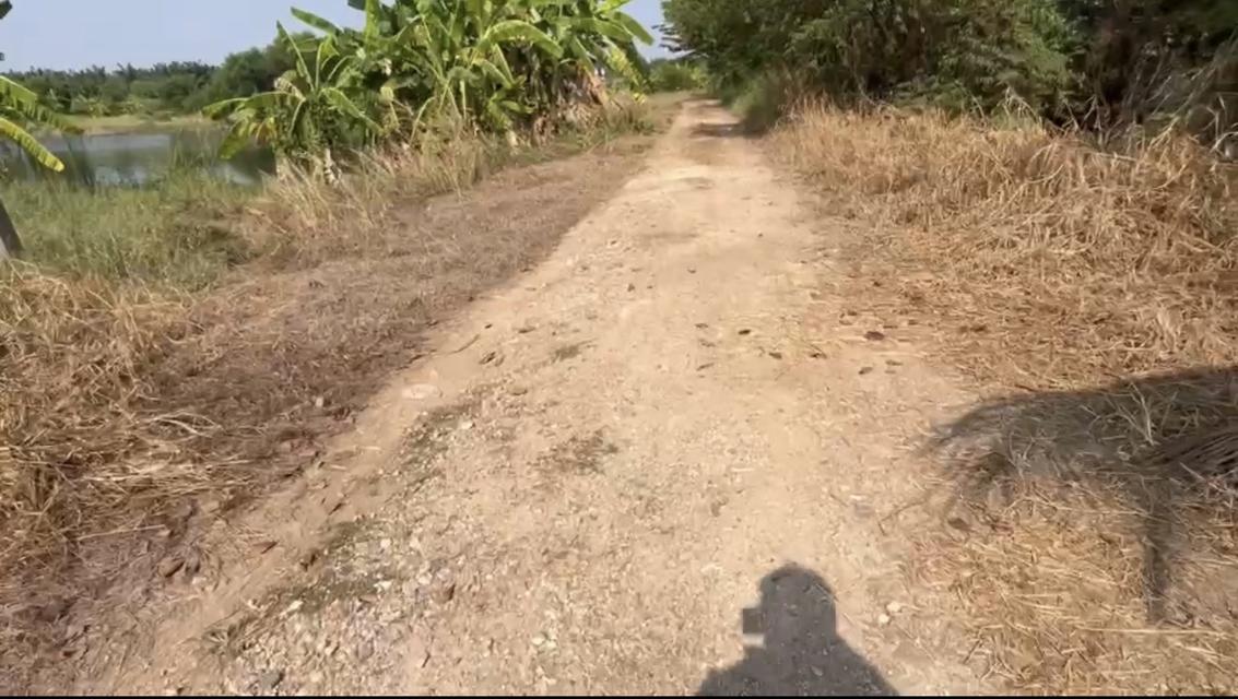 ขายที่ดิน วิหารแดง สระบุรี 3