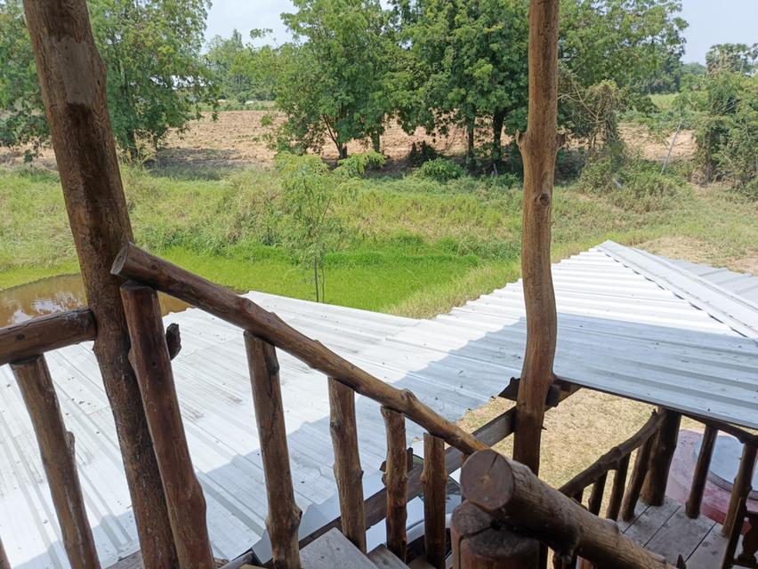 ขายบ้านพร้อมที่ดินเนื้อที่ 3 ไร่  (โฉนดที่ดิน ครุฑแดง 2 โฉนด)  7
