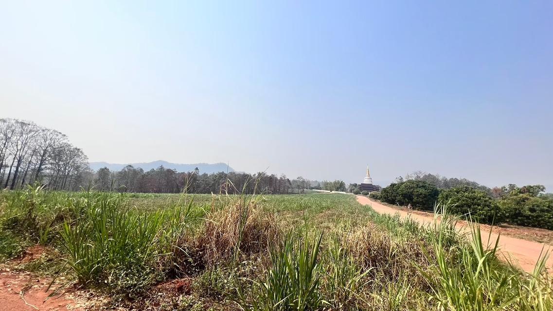 ที่ดินเชียงใหม่แม่แตง 6