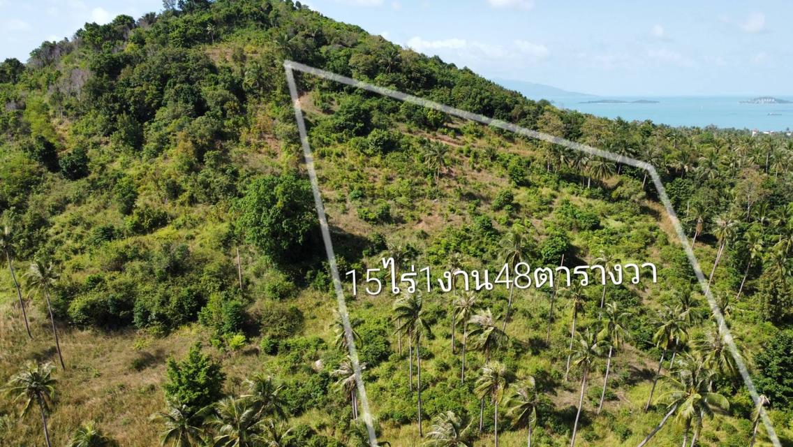 ขายที่ดิน15ไร่บนเกาะสมุย