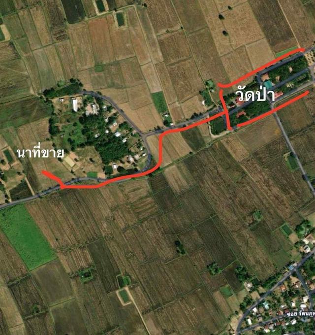 📍ขายที่นา 4ไร่ 3งาน 3.1ตารางวา หน้ากว้าง 40 เมตร น้ำไม่เคยท่วม มีไฟฟ้า น้ำปะปา  ติดถนน 7