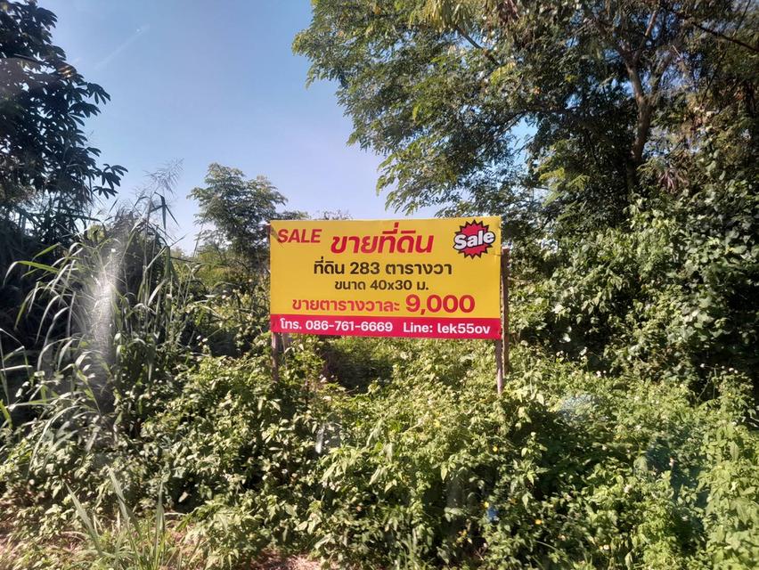 ที่ดินสันกำแพง 283 ตรว @9.000/ตรว. ใจกลางสันกำแพงปาร์ควิว ซอย10 สันกำแพง เชียงใหม่ 4