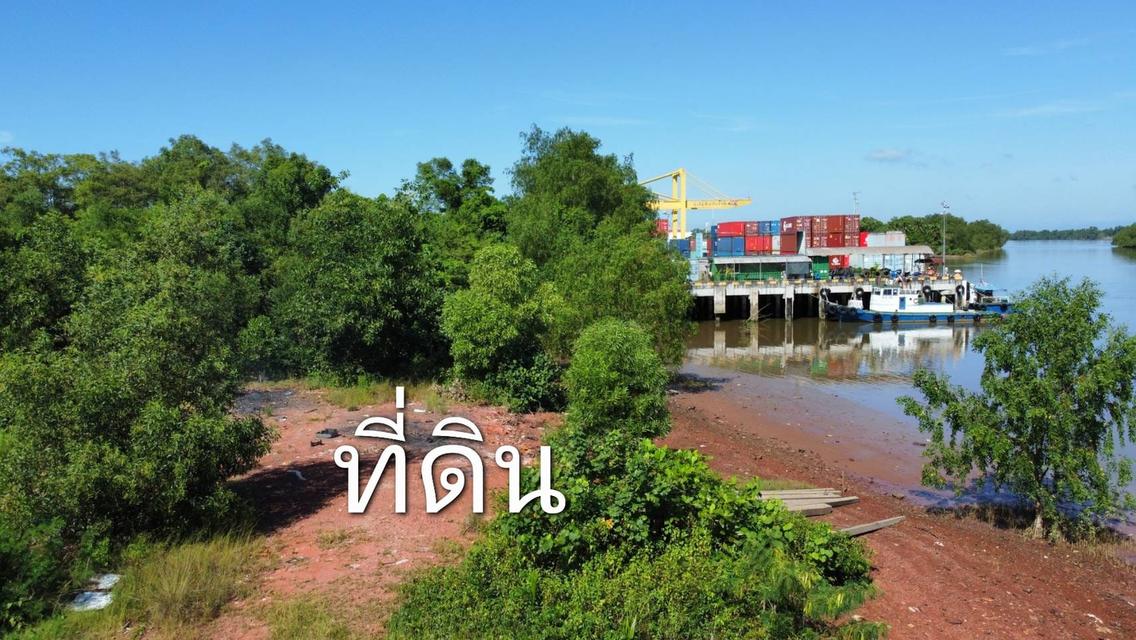 ขายที่ดินติดแม่น้ำตาปีในเมืองสุราษฎร์ธานี 5