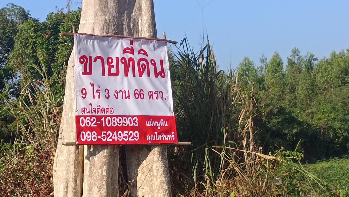 ขายที่ดินเขต อ. เมืองอุดรธานี 2